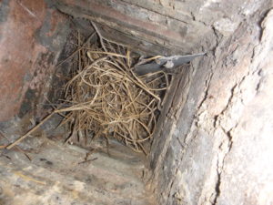 Chimney flue blocked by a birdsnest