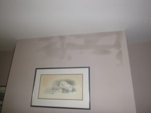 Damp on a chimney breast